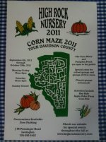 corn maze.jpg