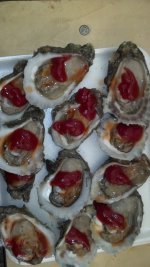 Oysters.jpg