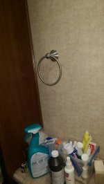 Hand Towel Ring - Bedroom Sink.jpg