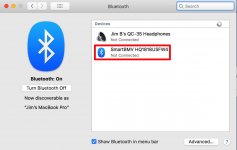 Mac Bluetooth Devices Screen.jpg