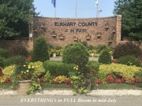 Elkhart County 4 H Fair, 2019.jpg