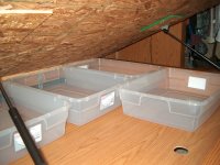 Bed Storage 6in Containers.jpg